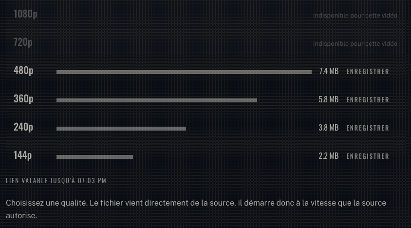 La ligne de progression de tnaflixdl qui défile pendant un téléchargement, avec le pourcentage, les mégaoctets reçus et la taille totale