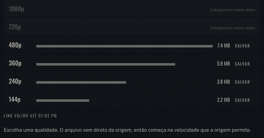 A linha de progresso do tnaflixdl contando durante um download, mostrando porcentagem, megabytes recebidos e tamanho total